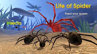 Скачать взломанную Life of Spider (Взлом на монеты) на Андроид