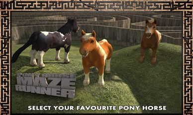 Скачать взломанную Pony Horse Maze Run Simulator (Взлом на монеты) на Андроид