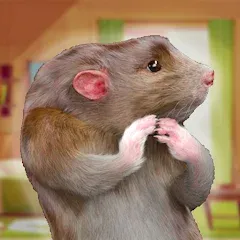 Скачать взлом Rat Game & Mouse Simulator (Рат Лайф) [МОД Бесконечные монеты] на Андроид