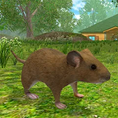 Скачать взлом Mouse Simulator : Forest Home  [МОД Меню] на Андроид