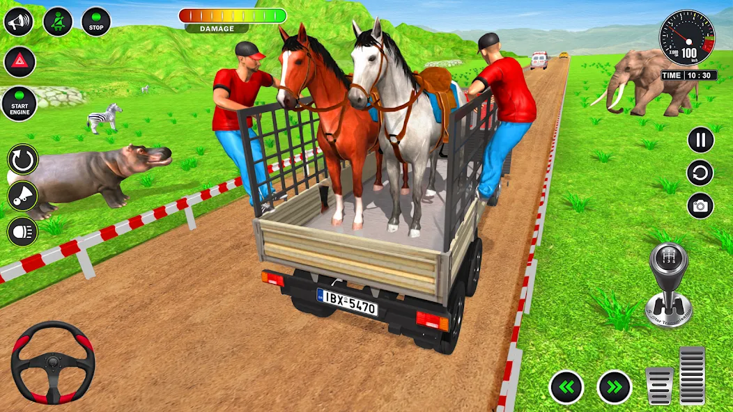 Animal Transport Truck Game 3D (Игра Грузовик для перевозки животных)  [МОД Много денег] Screenshot 4