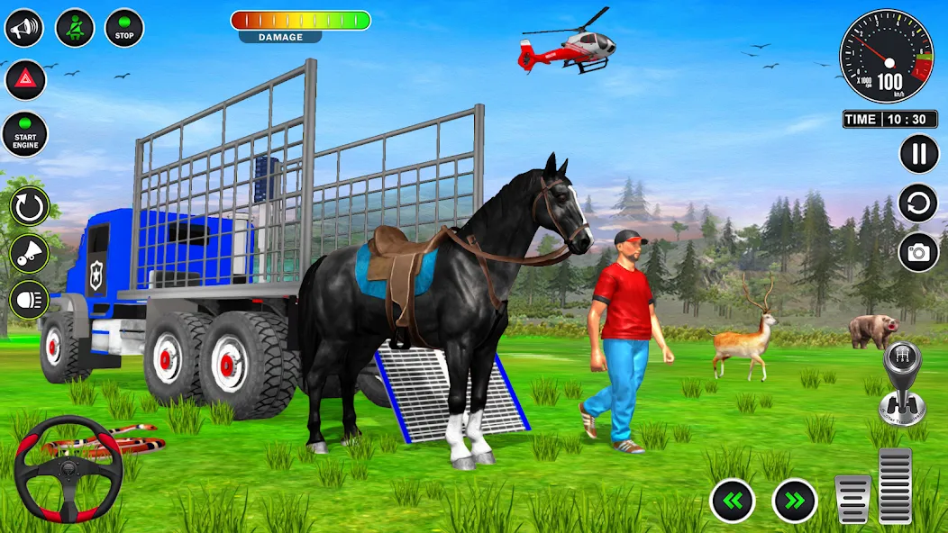 Animal Transport Truck Game 3D (Игра Грузовик для перевозки животных)  [МОД Много денег] Screenshot 5