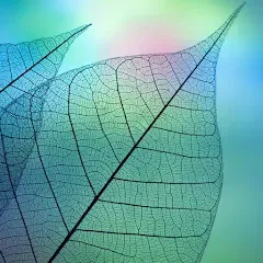 Скачать взлом 780 words (семьсот восемьдесят) [МОД Бесконечные монеты] на Андроид