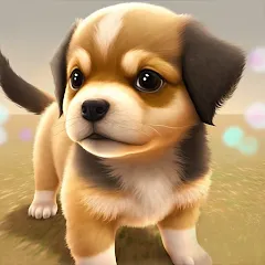 Скачать взлом Dog Town: Puppy Pet Shop Games (Догтаун) [МОД Бесконечные монеты] на Андроид