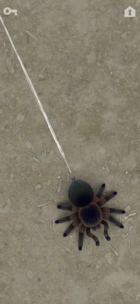 CAT ALONE 2 - Cat Toy (САТ АЛОНЕ 2)  [МОД Все открыто] Screenshot 4