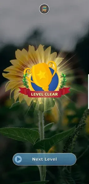 world of words (ворлд оф вордс)  [МОД Unlimited Money] Screenshot 3