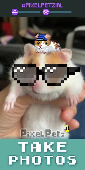 Pixel Petz  [МОД Много денег] Screenshot 4