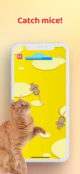 Games for Cat－Toy Mouse & Fish  [МОД Unlimited Money] Screenshot 1