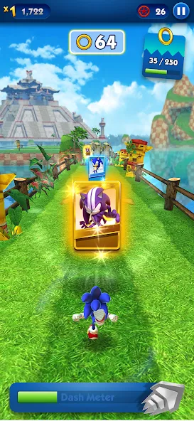 Sonic Dash - Endless Running (Соник Дэш)  [МОД Бесконечные монеты] Screenshot 4