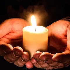 Скачать взлом Cozy Words [МОД Бесконечные деньги] на Андроид