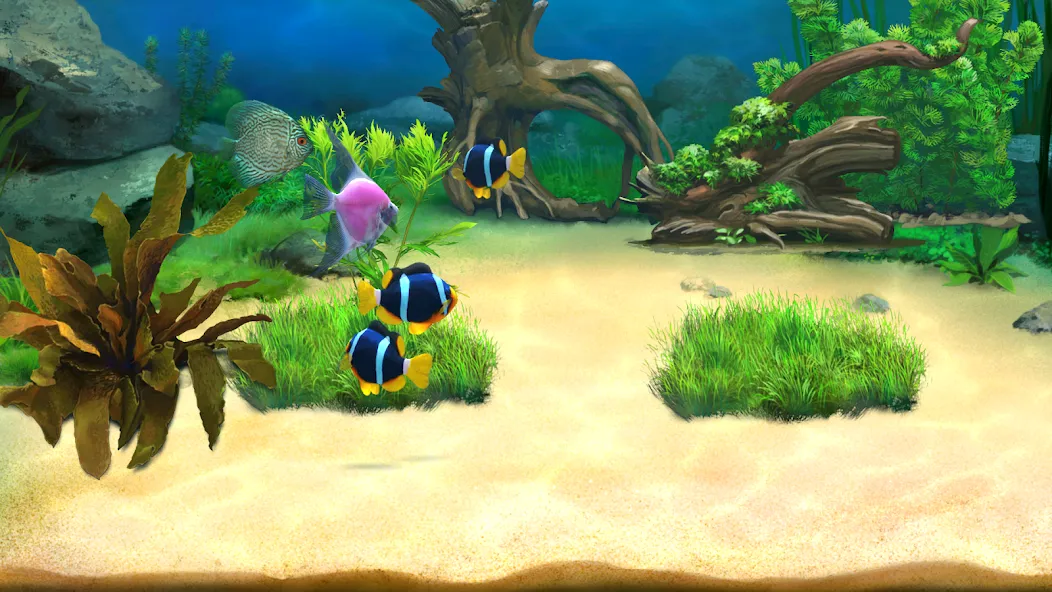 Aquantika  [МОД Много монет] Screenshot 2