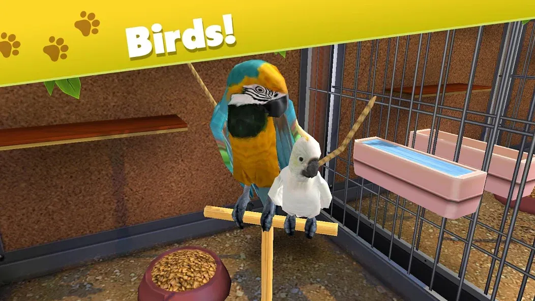 Pet World - My Animal Shelter (Пет Ворлд)  [МОД Бесконечные монеты] Screenshot 2