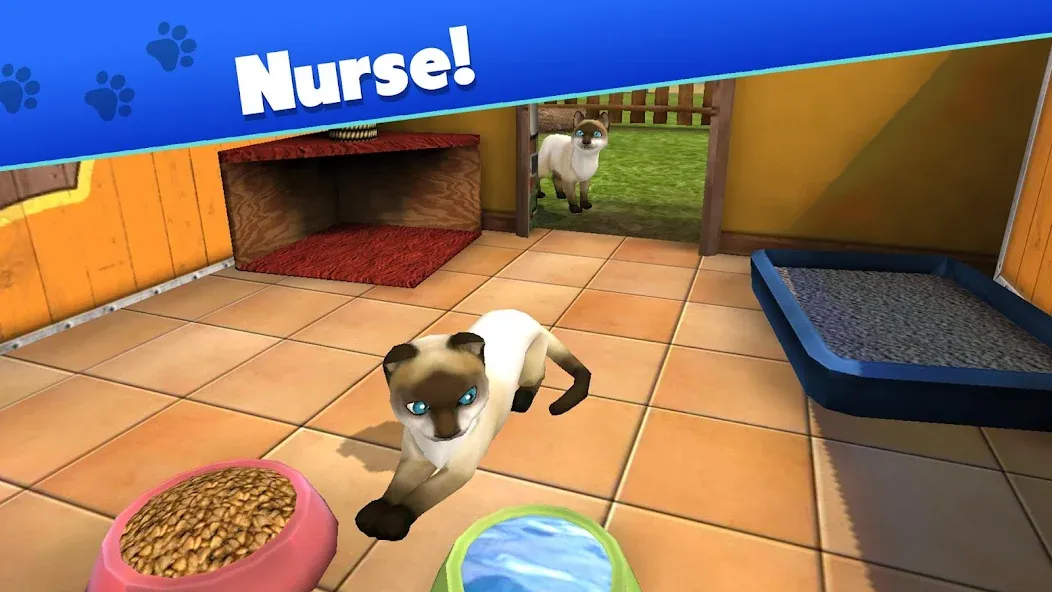 Pet World - My Animal Shelter (Пет Ворлд)  [МОД Бесконечные монеты] Screenshot 3