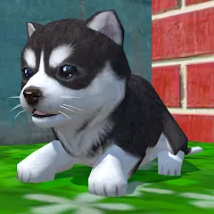 Скачать взлом Cute Pocket Puppy 3D (Сьют Покет Паппи 3Д)  [МОД Бесконечные деньги] на Андроид