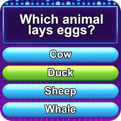 Скачать взлом Trivia Crush (Тривия Краш)  [МОД Много денег] на Андроид