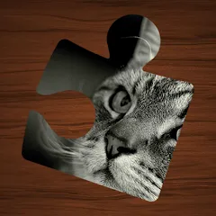 Скачать взлом Animal Puzzles: Jigsaw Mosaics  [МОД Много денег] на Андроид