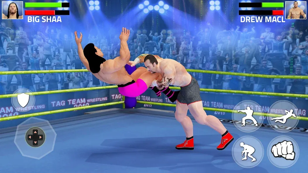 Tag Team Wrestling Game (Таг Тим Реслинг Гейм)  [МОД Все открыто] Screenshot 5