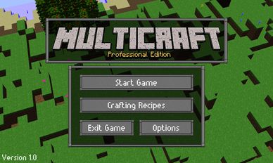   Multicraft: Pro Edition (  )  